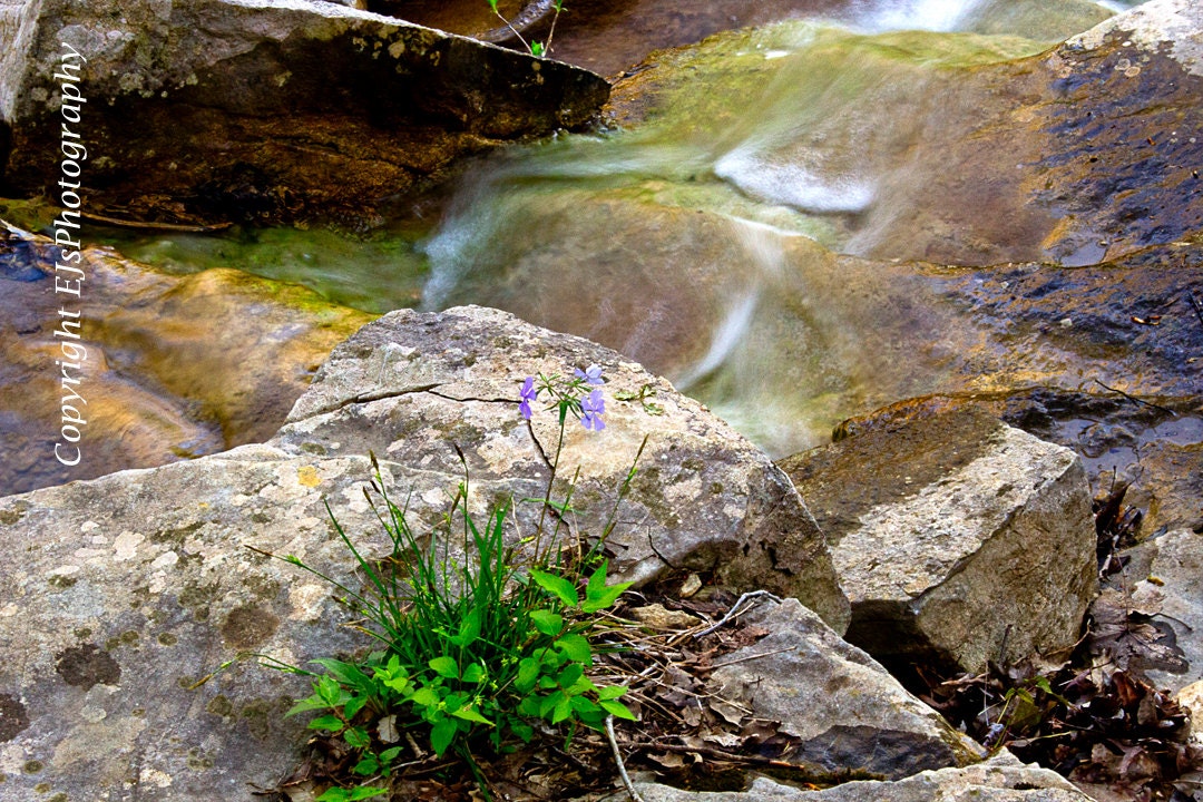 Nature Photography, Fine Art, Mountain Creek - FREE SHIPPING - EJsPhotography