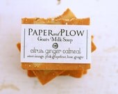 Citrus Ginger Oatmeal All Natural Handmade Goat Milk Soap: Sweet Orange, Pink Grapefruit, Lime, Ginger