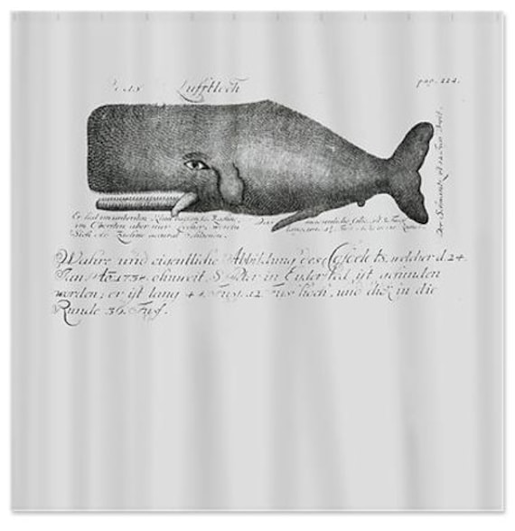 Gray Vintage Whale Shower Curtain Vintage Book by ShowerThePeople