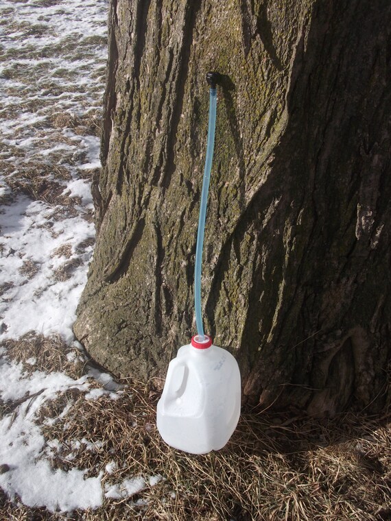 20 NEW Maple Tree Sap Taps & 24 Hoses 5/16 Tree by RenewableSupply