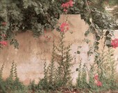Garden Photography, Nature, Art Print, Climbing Ivy, Pink Flowers, Shabby, Cottage, Farmhouse, Rustic, Wall Decor
