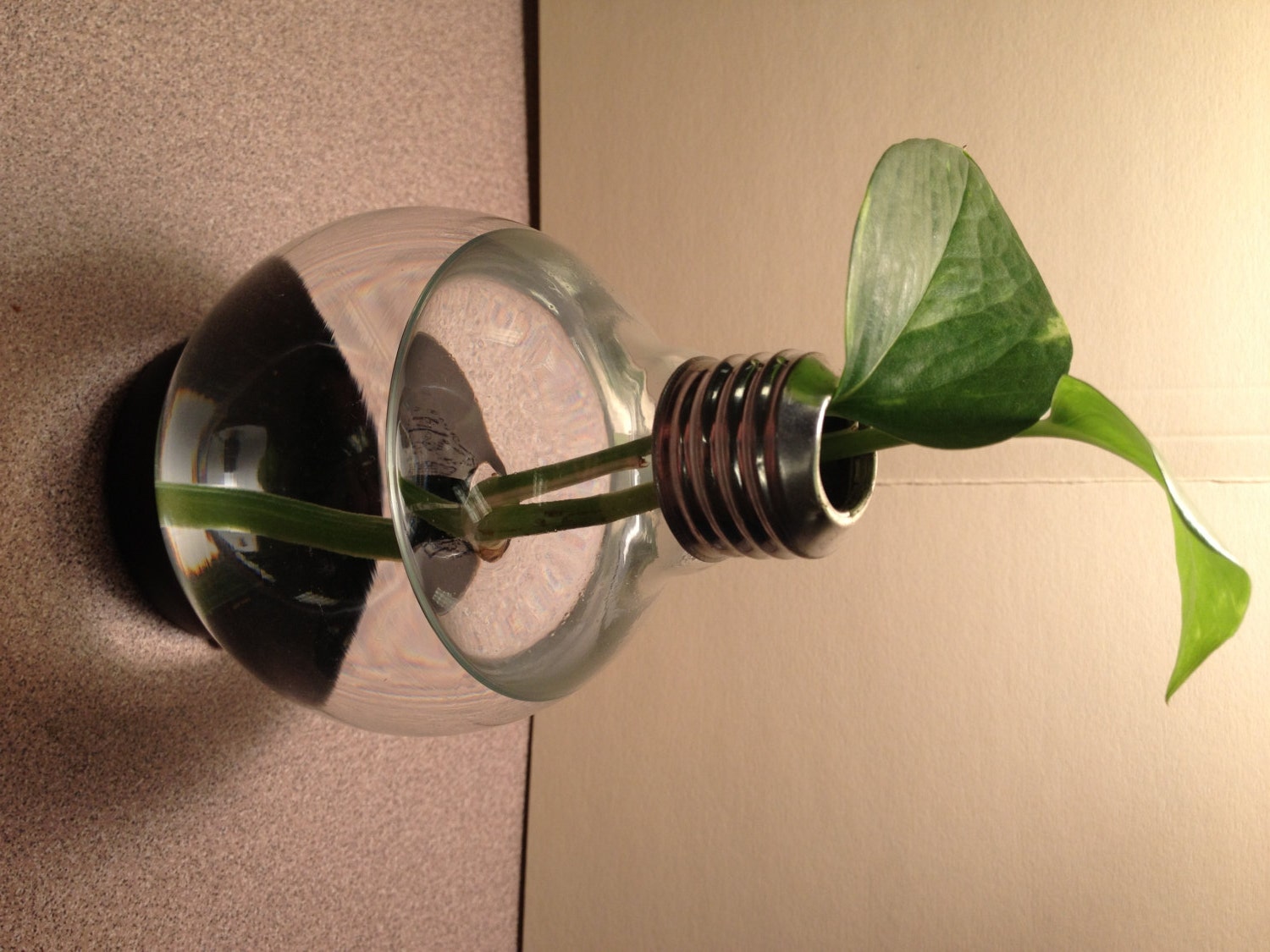 Light Bulb Vase