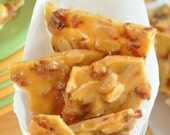 Chocolate Covered Peanut Brittle with Bacon - 1 Pint