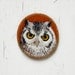 Owl , brooch , needle felted , embroidered , animal ,felt ,