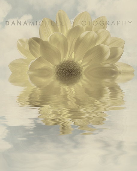 Yellow Daisy by the Water - Summer Yellow Floral Faded Vintage Flower Bedroom Decor Art 8x10