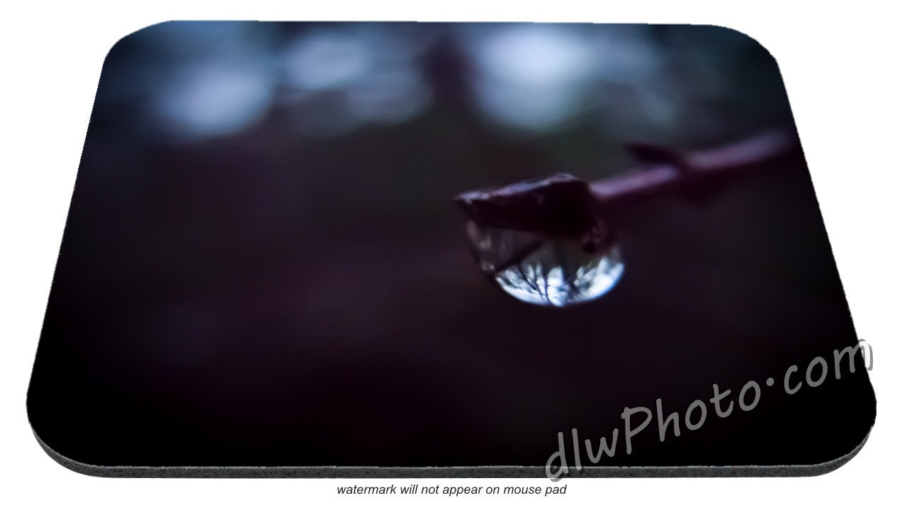 Forest Raindrop, Droplet in the Dark, Photography Mousepad