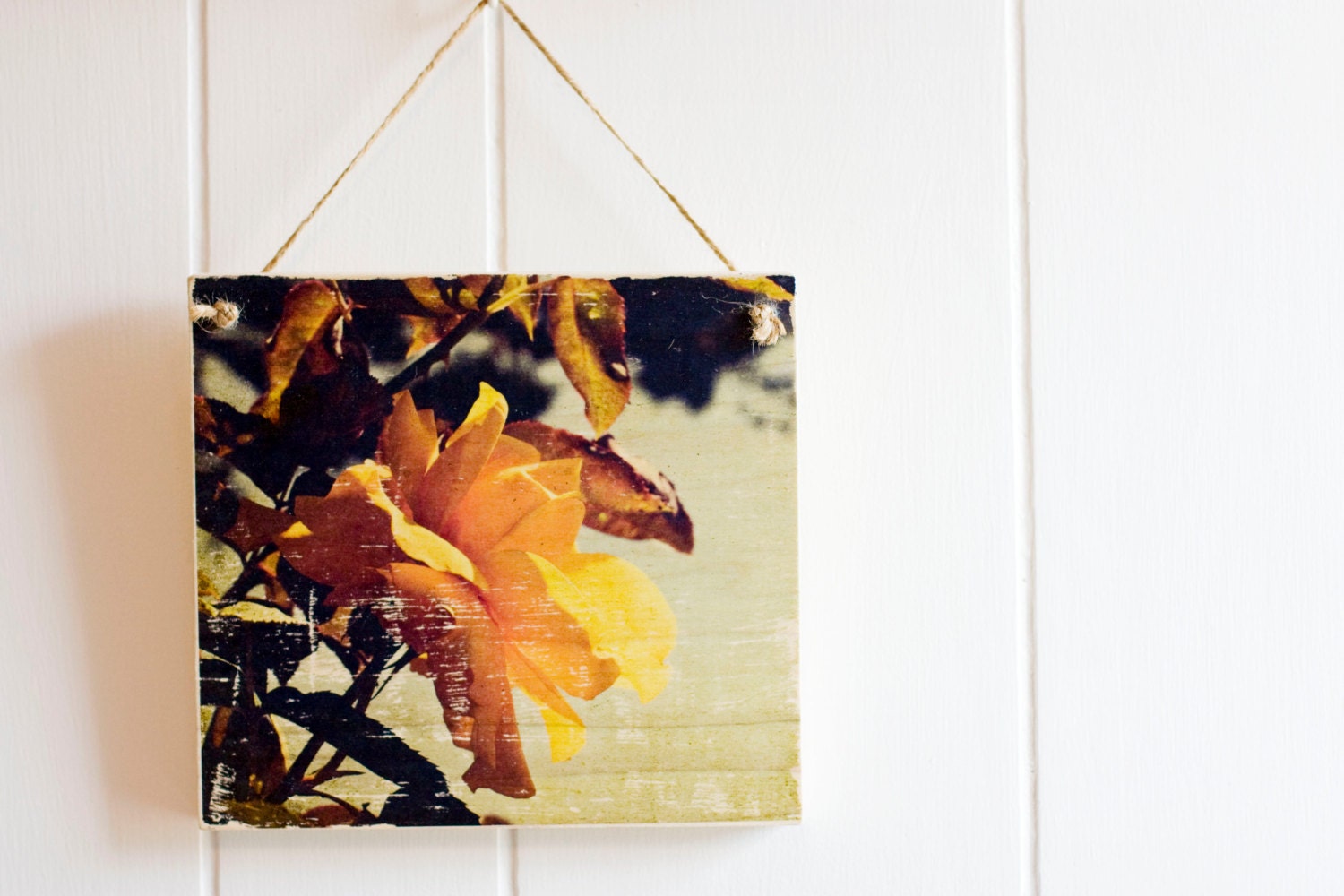 Still Life Photography, Wall Decor, Wooden Photo Block, Nature- Yellow Rose