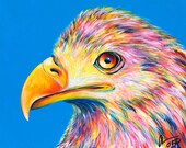 Bald Eagle Open Edition Signed Poster Print Chris Wakefield