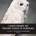 PRESALE - I Have Heard My Praises Sung In Screams: The Paintings of the Mincing Mockingbird Volume II