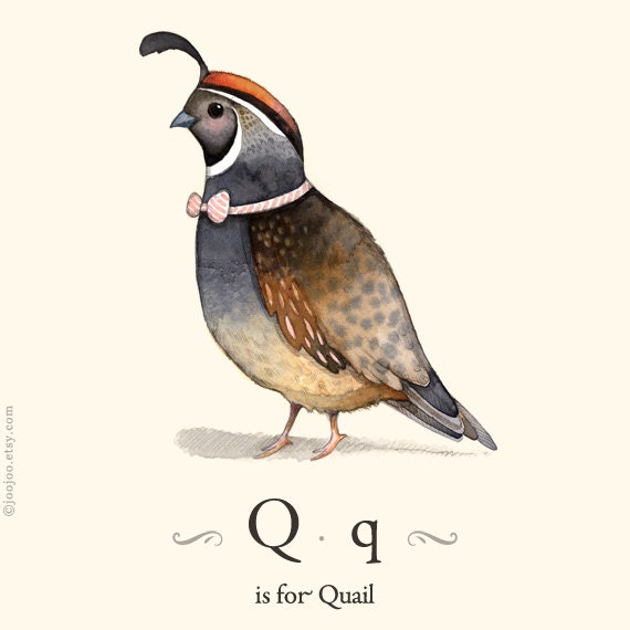 Q is for Quail, 8x10 alphabet prints, Kids wall art, Nursery art, Watercolor painting, illustration print, Children wall art