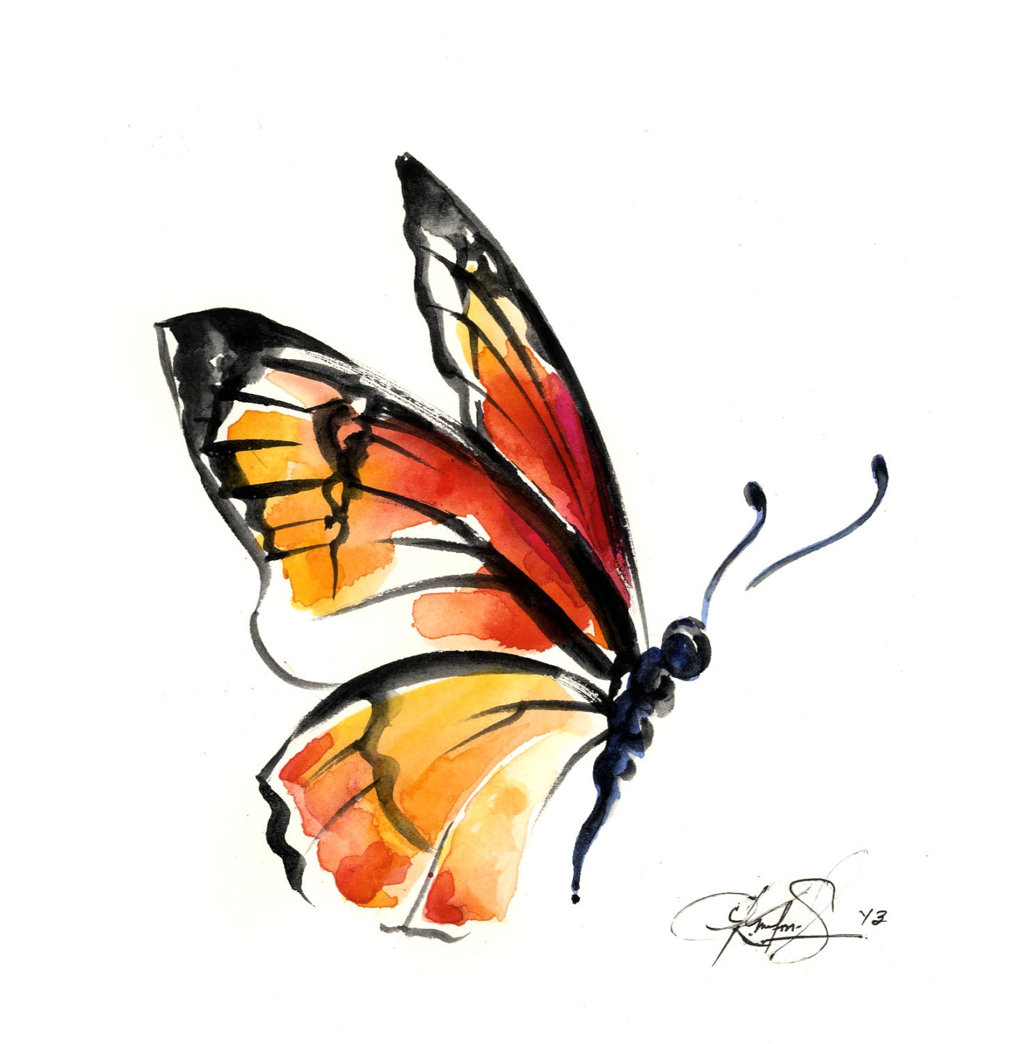 butterfly clipart photoshop - photo #31