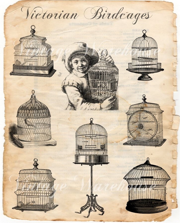 ANTIQUE BIRDCAGE - Victorian Bird Cages - for Digital Download, print, collage and more