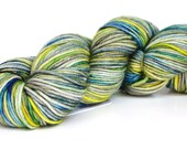 Skinny Dipping--hand dyed DK weight yarn, MCN (230yds/100gm)