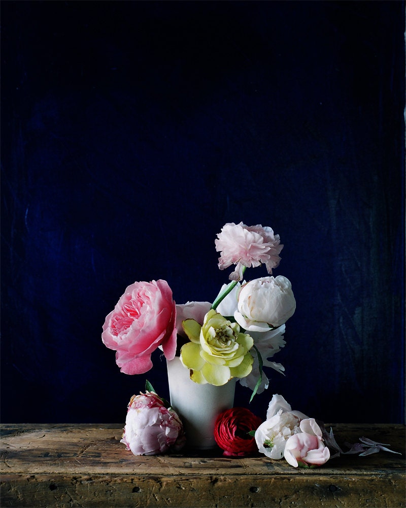 Flower Photograph No. 88237