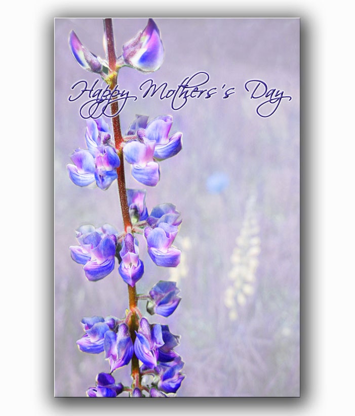 Mothers Day Card -Flower Photography -Blank Card -Card for Mom -Purple Flower -Greeting Card Mother