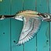 Goose Spirit - life-sized aluminum waterfowl sculpture by Mark - Pacific Northwest Coast Indian-inspired - OOAK