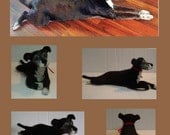 Custom Dog portrait Sculpture needle felted from photographs