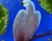 Original Miniature Painting, Moonlit African Grey Parrot