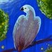 Original Miniature Painting, Moonlit African Grey Parrot