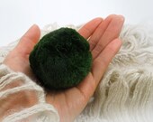 1 XL Marimo For Your Own Aquarium