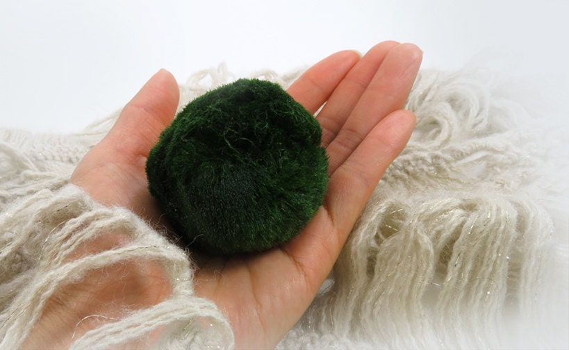 1 XL Marimo For Your Own Aquarium