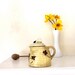 Vintage Honey Pot jar Ceramic bees bee skep theme Kitsch kitchen collectible