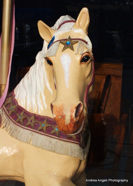 Fancy horse. 5x7 photo matted to 8x10 inches