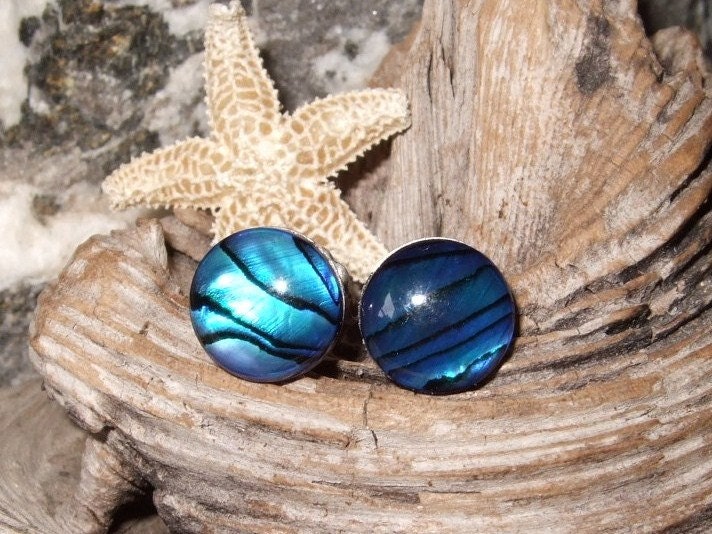 Blue Paua Shell Stud Earrings Titanium Posts and Clutches Handmade in Newfoundland 8mm Round Deep Blue Hypo Allergenic