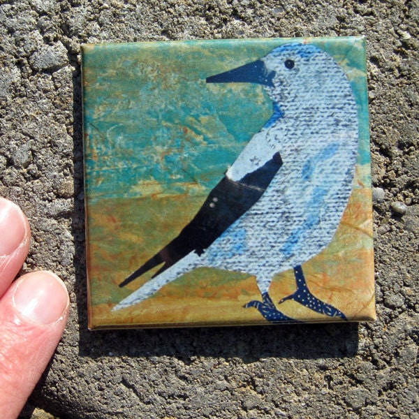 Clark's Nutcracker White Bird Magnet