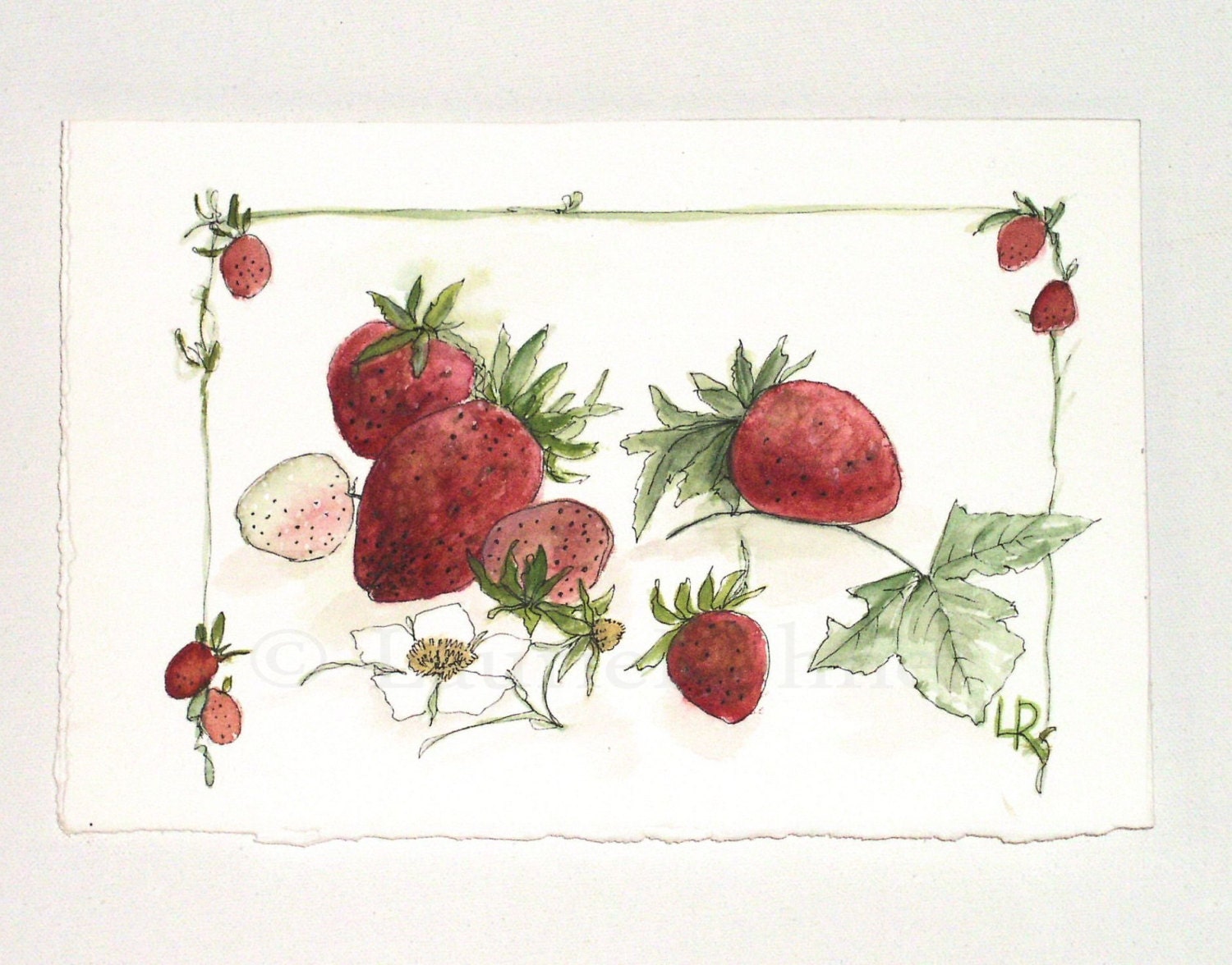 Strawberries Watercolor Nature Art Painting Botanical Garden Original Artwork by Laurie Rohner