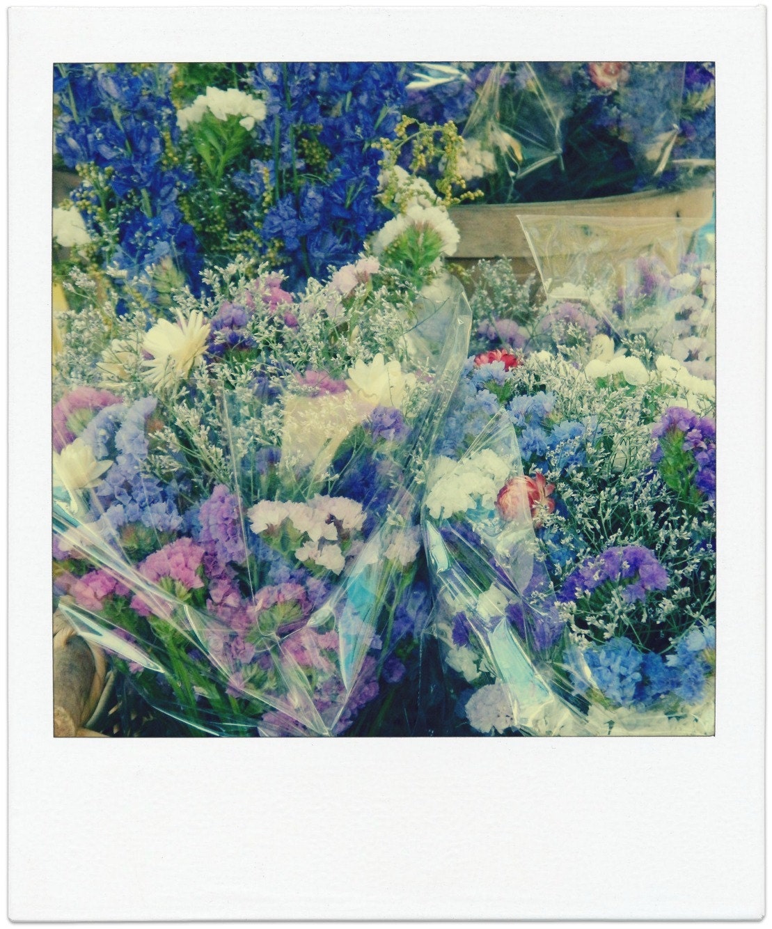 Bunches