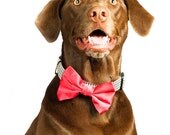 Dog Bow Tie for Weddings - Red Satin