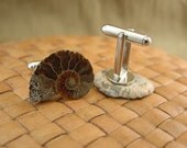 Ammonite Fossil Cuff Links