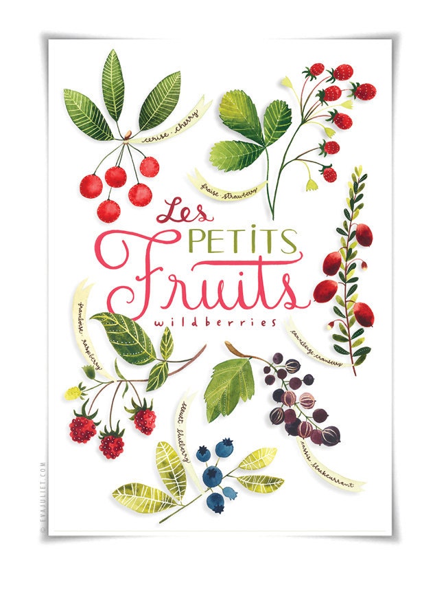 Les Petits Fruits / Wildberries 13x19 - Botanical watercolor collection Art Print