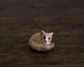 Baby Mouse Lemur- The Totem Nursery