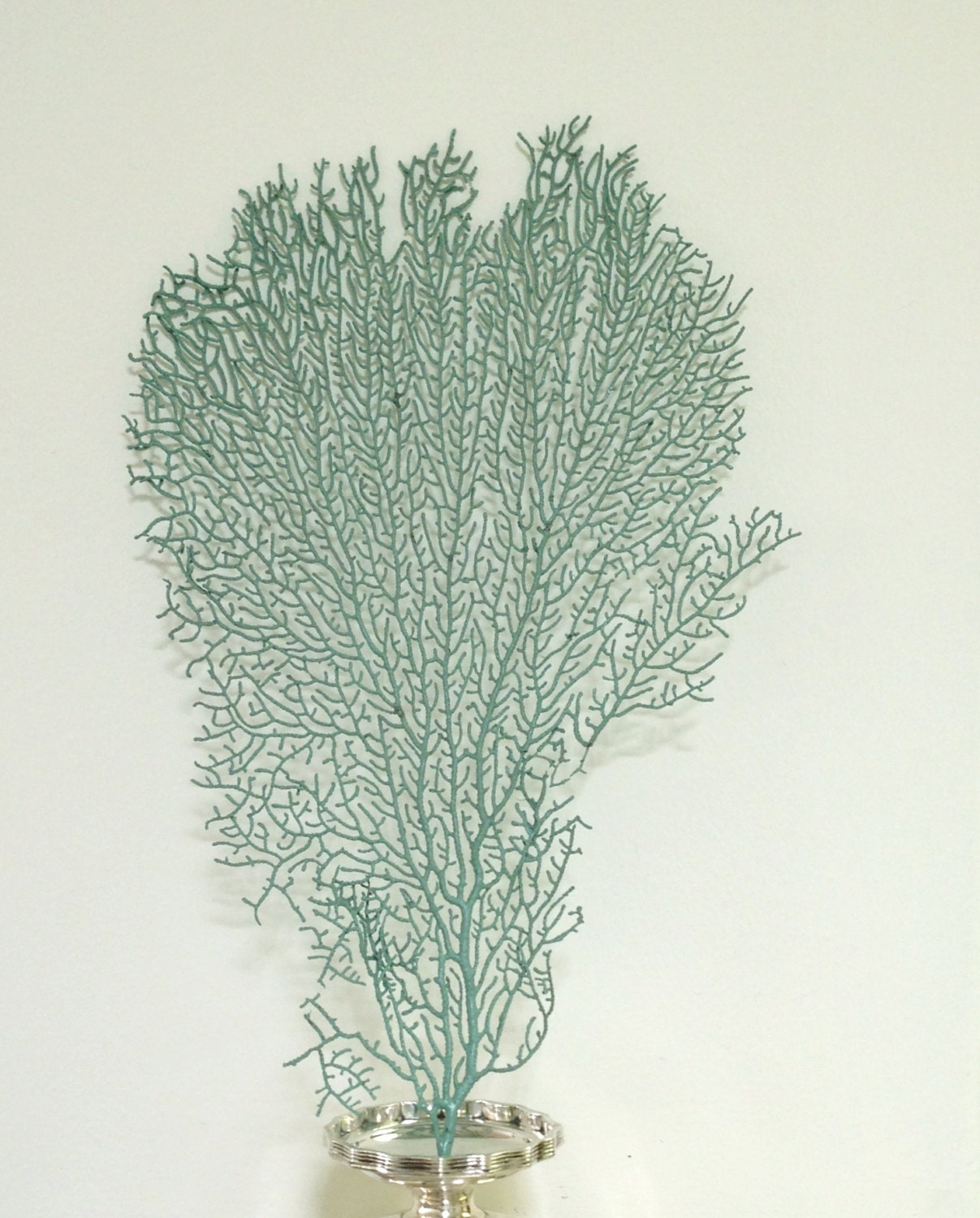 Beach Decor - Natural Dried Sea Fan Painted Sea Foam Green