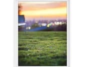 Los Angeles 11 (Sunset Grass) // 8x10 Fine Art Giclée Print // Photography