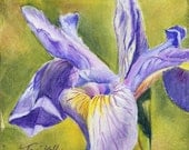 Blue Flag Iris - Original Mini canvas painting, yellow purple green blue, wall art home decor floral