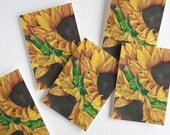 sunflowers, note cards, sunflower card set