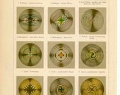 1894 chromatic polarization original antique science print no B