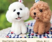 English / Chinese  Craft Kit  DIY Handmade Wool Felt Kit Toy Poodle - Can make 2