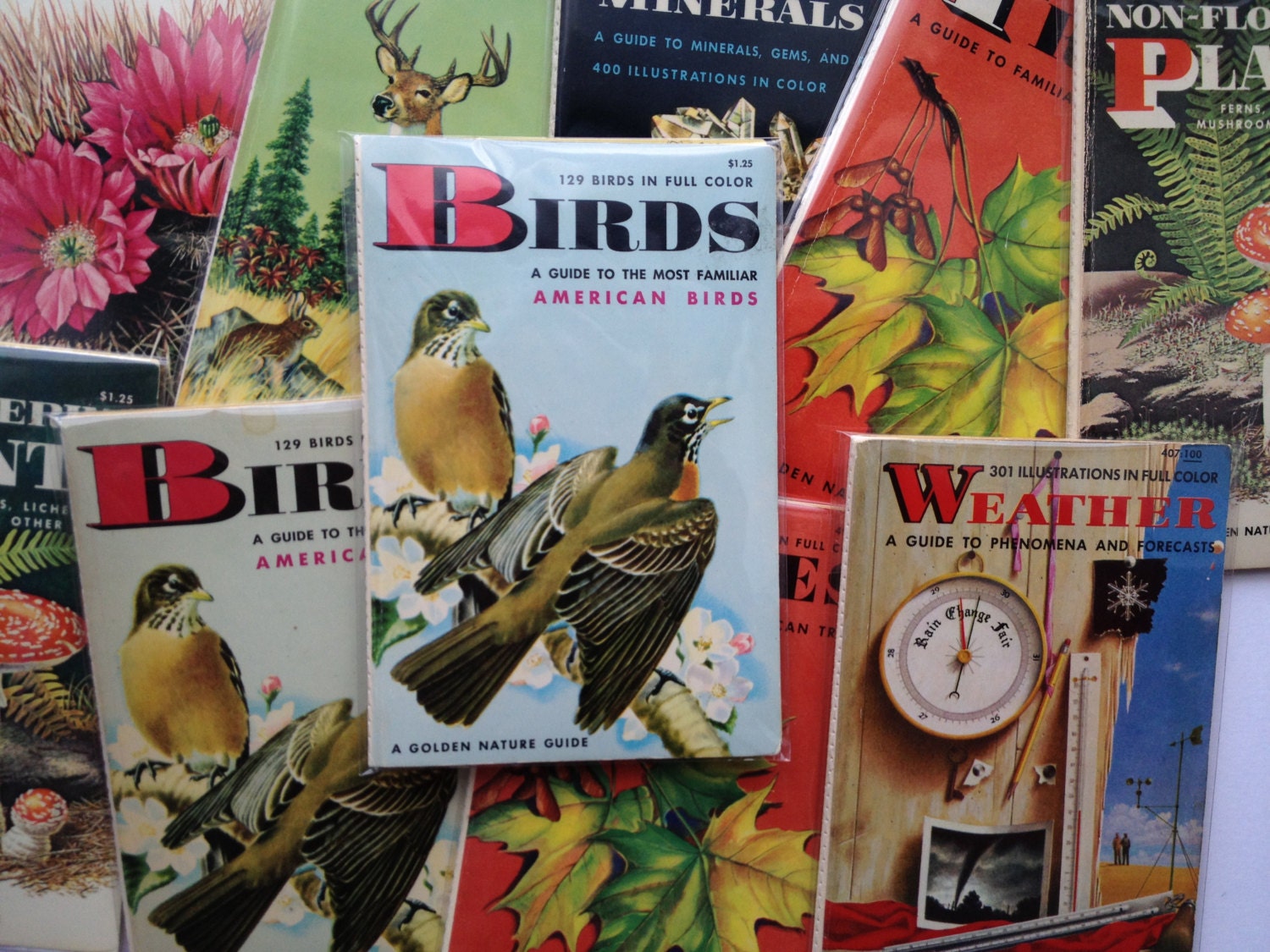 Mini Notebook- Birds- Repurposed Vintage Field Guide Book Cover