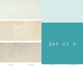 Chiffon Set of Photo Overlays