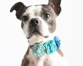 Ombre Sweet Pea Flower Trio - Dog Collar Accessories