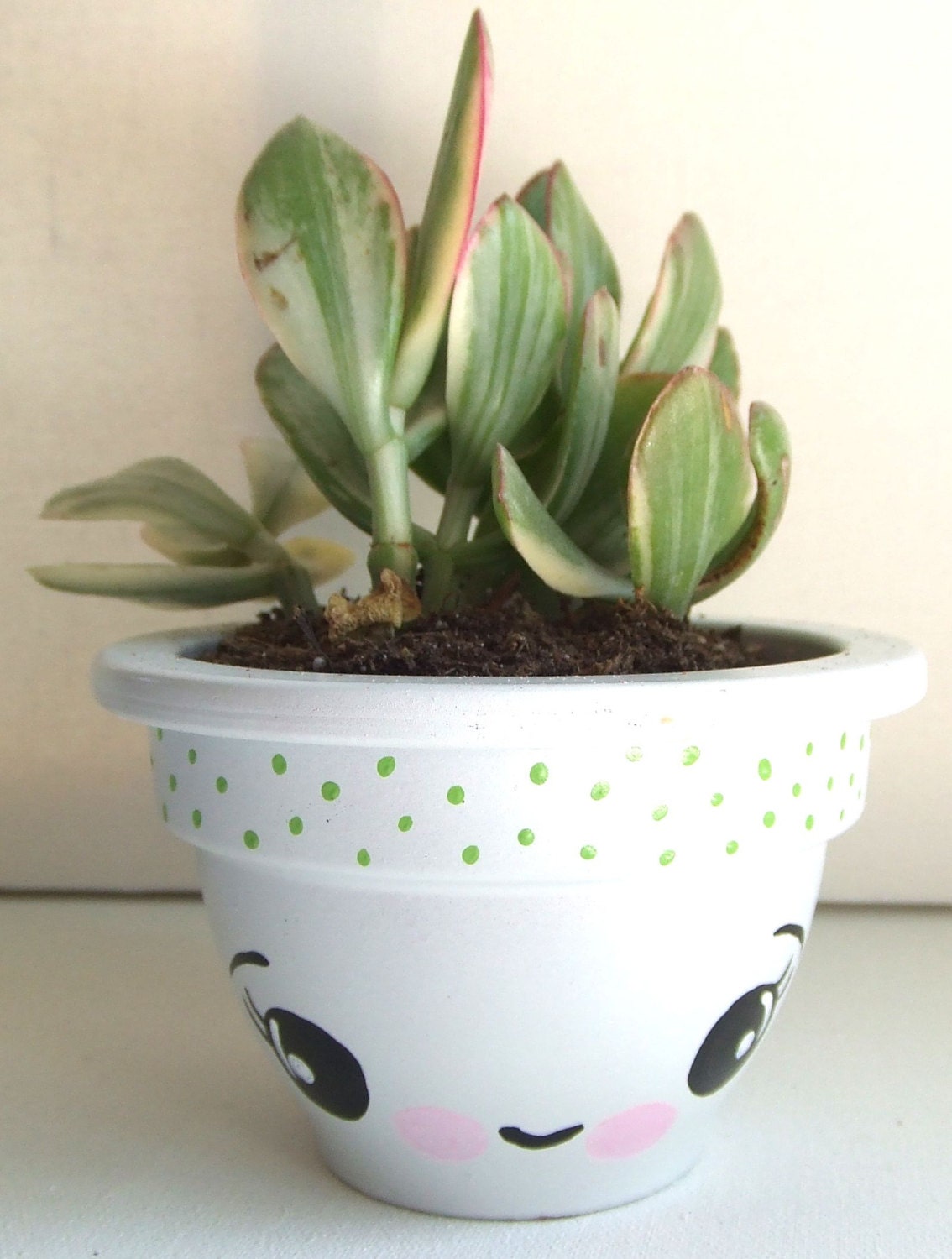 White Kawaii Planted with Succulent
