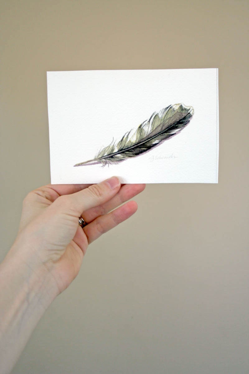 Woodpecker Feather - Original Watercolor 667 Nightly Study