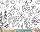 Succulent Clip Art and Photoshop Brushes - Hens & Chicks Clip Art Outlines - Digital Graphics PNG - Digital Stamps
