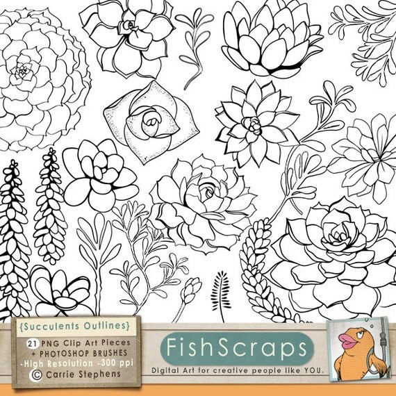 Succulent Clip Art - Flowers & Photoshop Brushes - Hens and Chicks Outlines - Digital Graphics PNG - Digital Images for Embroidery - Instant Il_570xn