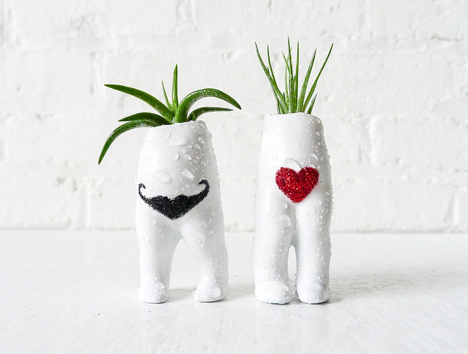I Heart Mustache Twins - Air Plant Garden Love - Antique German Dolls - Live Headless Planters