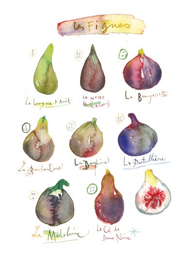 Kitchen art, Fig poster, 8X10 Kitchen Print, Purple Fruit Watercolor painting, Botanical Home decor, Food artwork